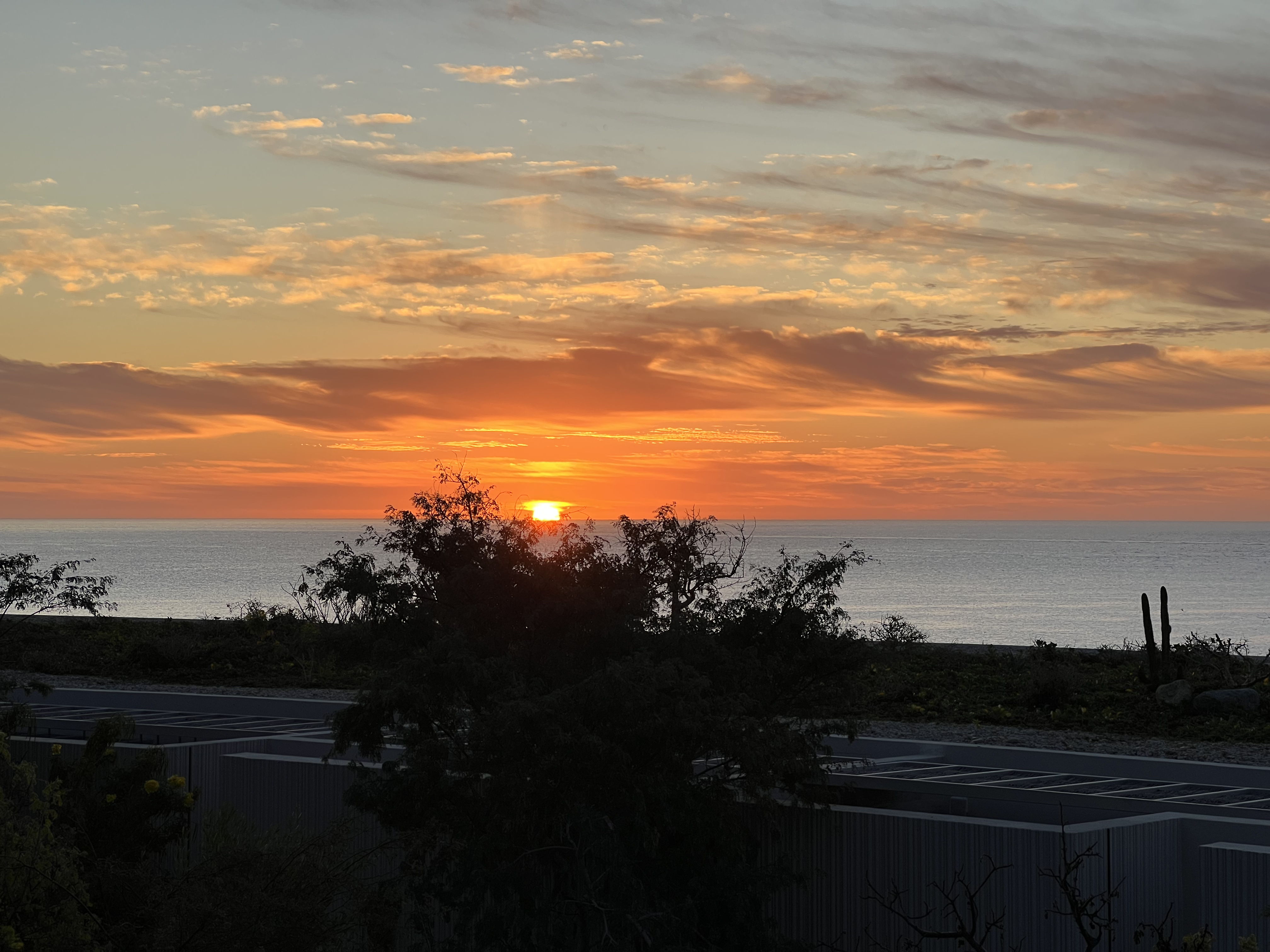 ./2024/13 - Cabo/IMG_4190.jpg